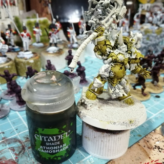 Typhus paint