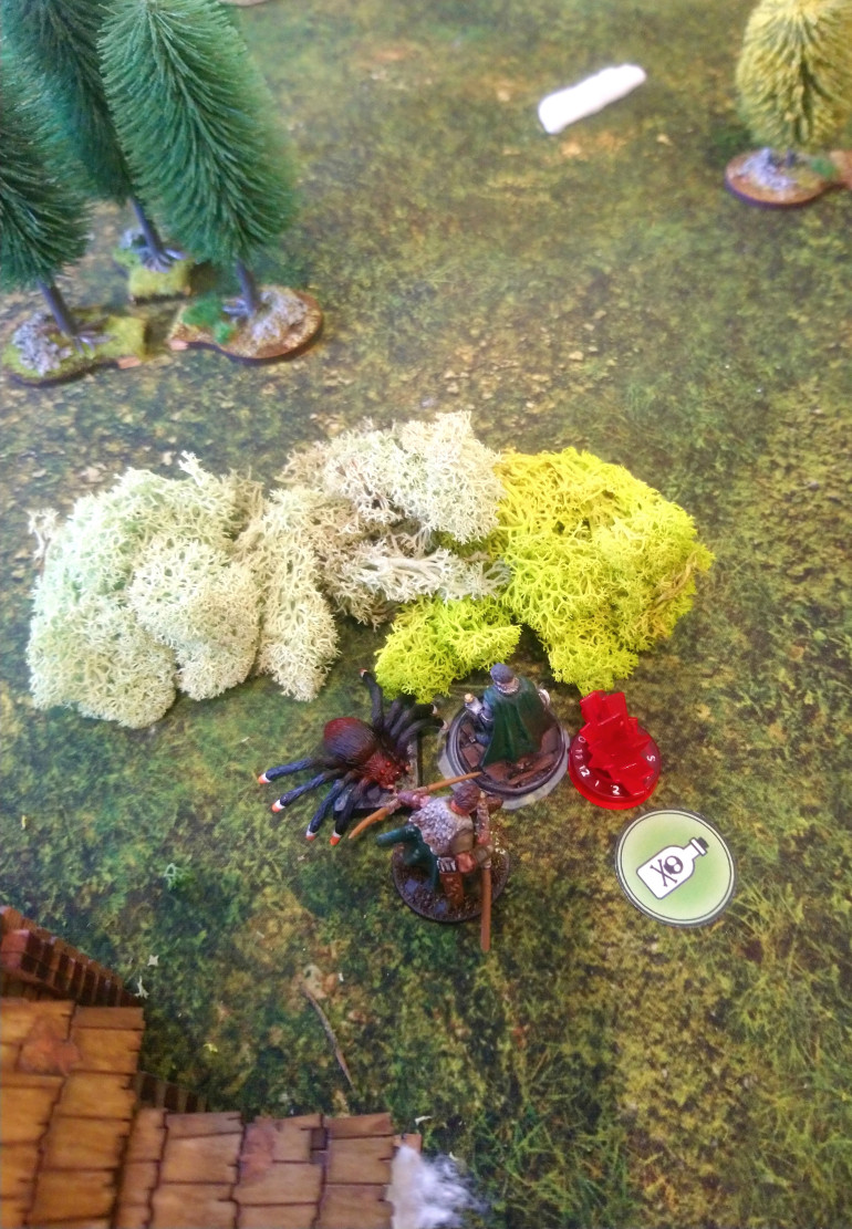 Archibald gets nibbled by a spider. 