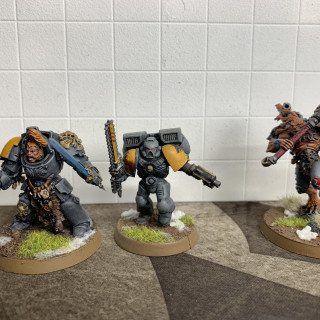 Space Wolf update