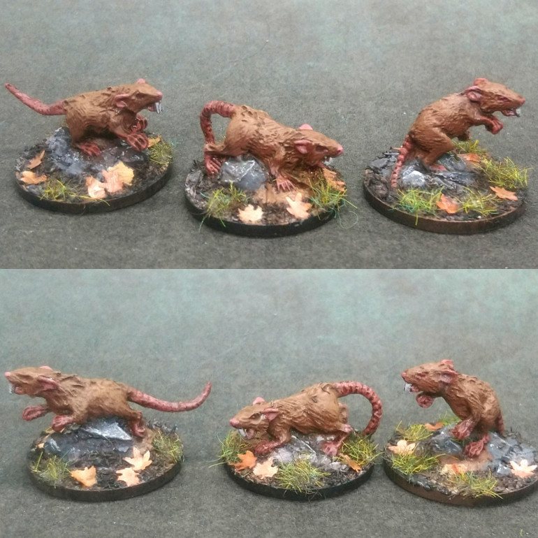 Dirty rats and boars