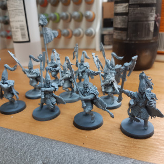 Back to Warhammer and The White Lions of Chrace