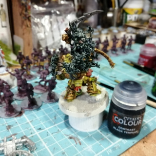 Typhus painting part5