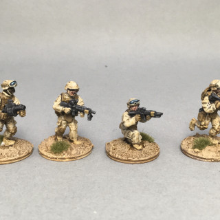 US Marine squad and AAV7