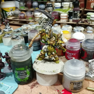 Typhus painting part2