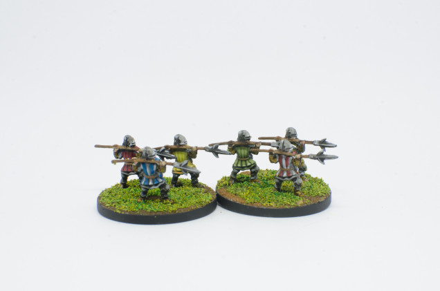 Flemish Pikemen