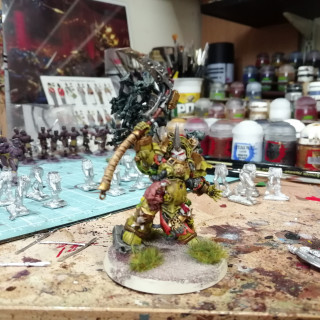 Typhus painting part6