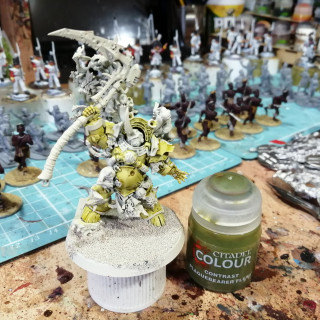 Typhus paint