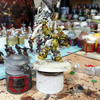 Typhus paint