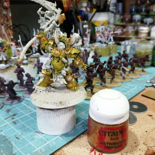 Typhus paint