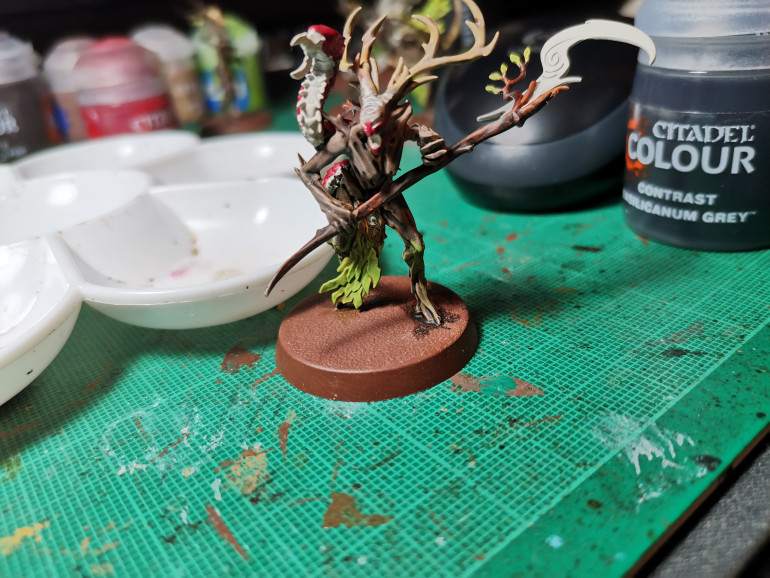 Now to concentrate on the branch whych. Paint these like the dryads before; then prep the underside of the bug critter, the scythe blade, the eyes, mouth and fore head swirl with Wraithbone for more contrast paint.