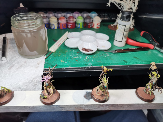 I'd recommend at this point varnishing your miniatures, I sprayed mine with a Satin Varnish. The reason for this is that I find the contrast paint rubs off easily and this is especially true for the Sylvaneth as there are a lot of pointy bits and fragile bits. I've already broken a few creatures, I found half of a worm one week later and super glued it back on, then I found the other night another bit that is primed and not painted on the carpet so I don't know where it fell off. Anyway be careful with these minis I need to plan storage, magnets may be the way to go. 