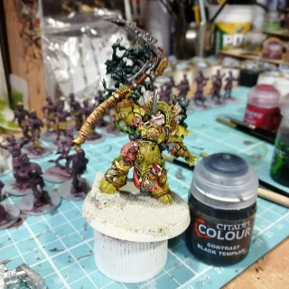 Typhus painting part5