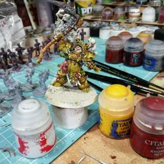 Typhus painting part4