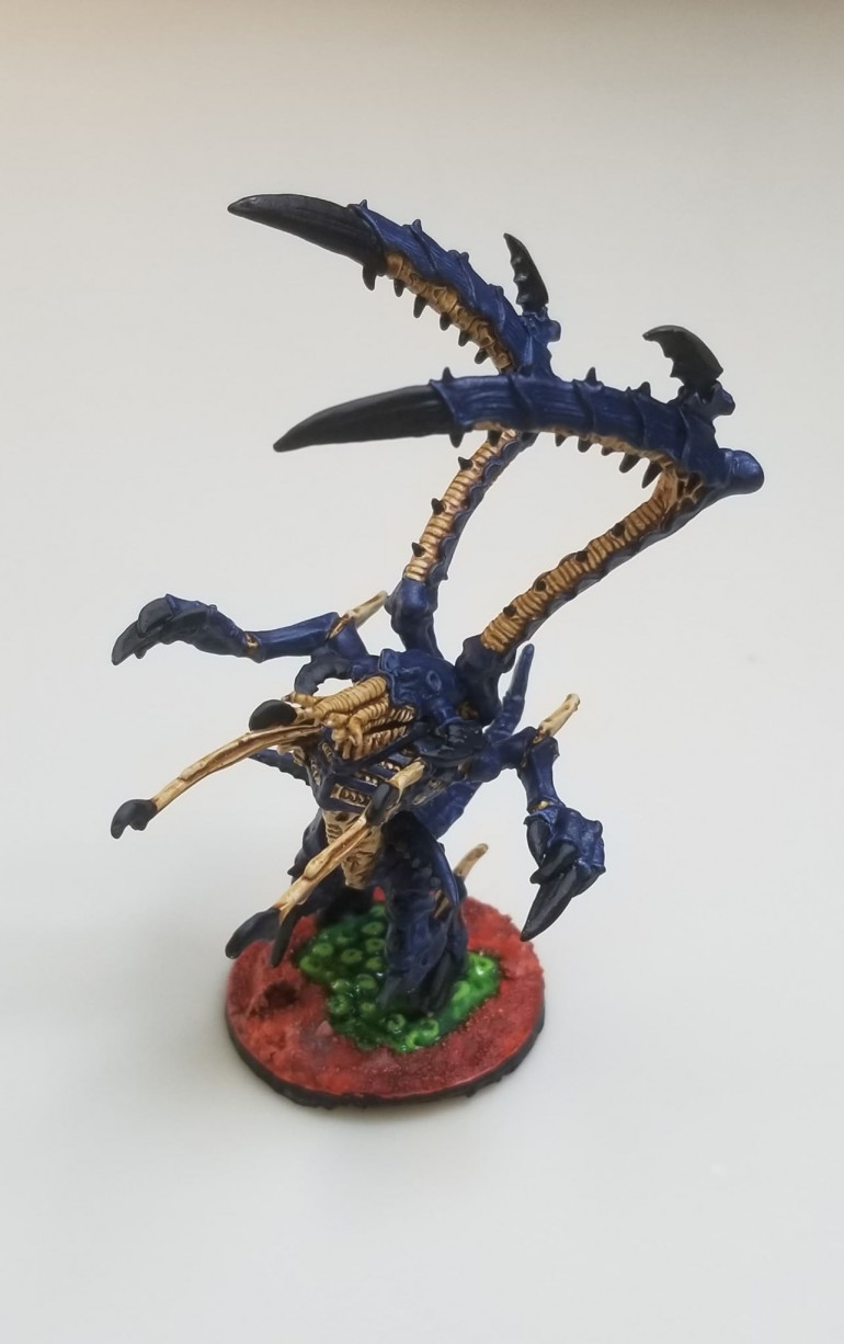 Lictor