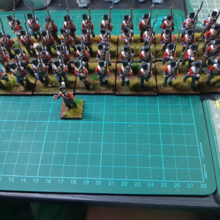 Base decorations for the KGL and french line infantry.