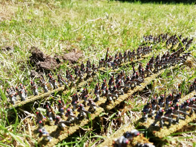 Getting lost in the garden. My first full brigade. I have decided to paint the shako pom poms red in all the troops in this brigade. I know that's not correct but I want them to be recognised as one brigade. My next collection can have a new colour.