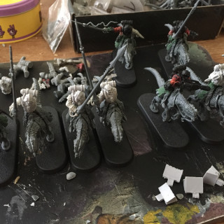 Mubraxis Dustdogs - Rough Rider Units WIP