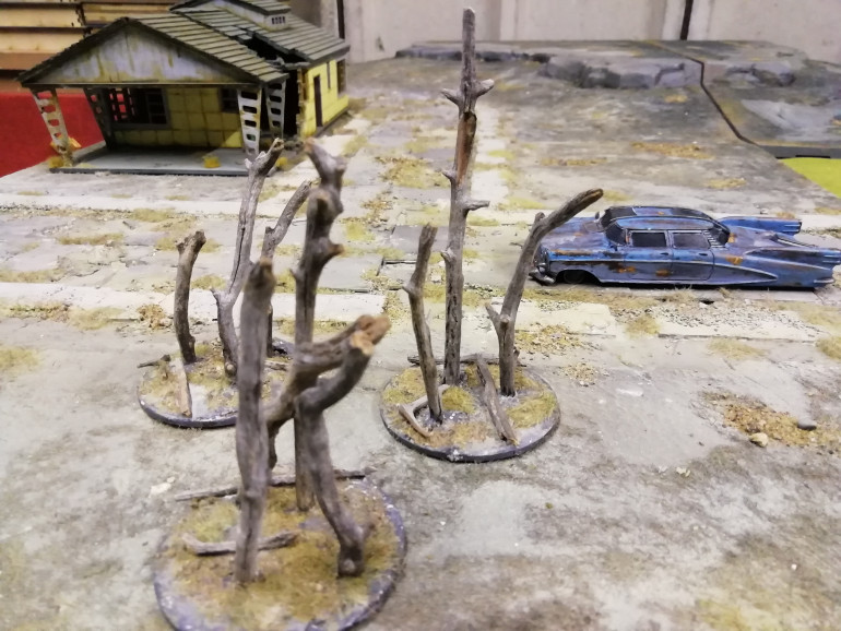 Cars and trees