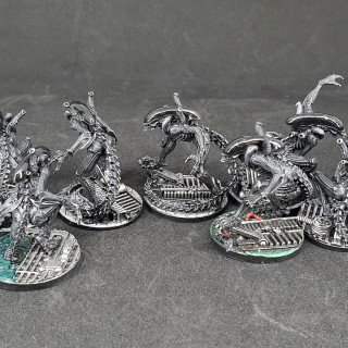 Week 20 - Spawns and Xenomorphs