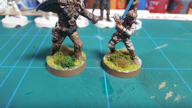 Working On Forest Basing