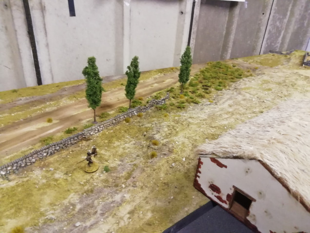 First three trees to go in the board. They look ok but could be with being bigger but all wargaming trees are to small compared with reality.