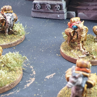 Printed and Finished a Pack Mule Train