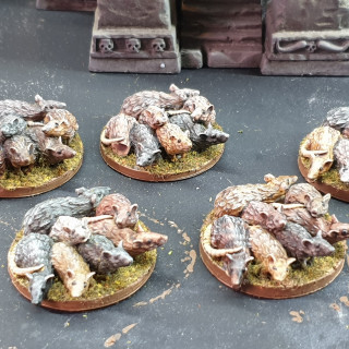 Finished the Giant Rat Swarms