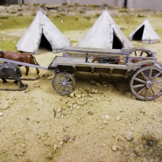 Wagons and supplies