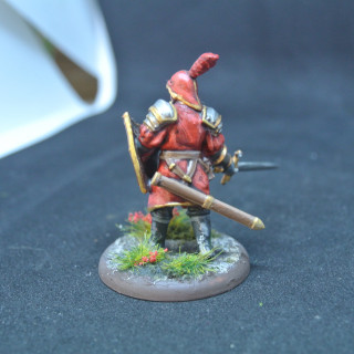 Lanister guardsmen/soldiers