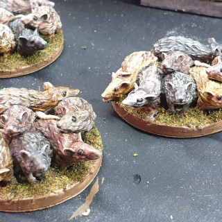 Finished the Giant Rat Swarms