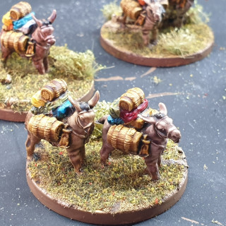 Printed and Finished a Pack Mule Train