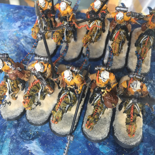 Mubraxis Dustdogs Rough Rider Units Completed