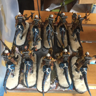 Mubraxis Dustdogs Rough Rider Units Completed