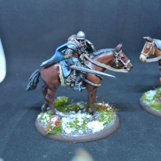 Stark outriders + horses