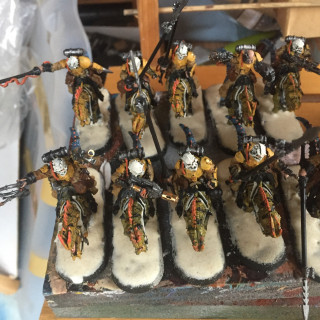 Mubraxis Dustdogs Rough Rider Units Completed