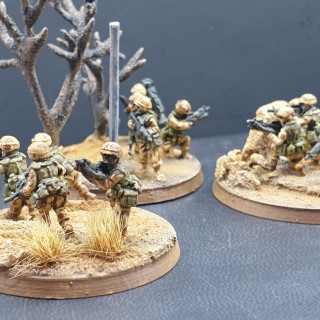 Putting Paint & Pigment on the Infantry