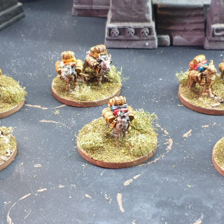 Printed and Finished a Pack Mule Train