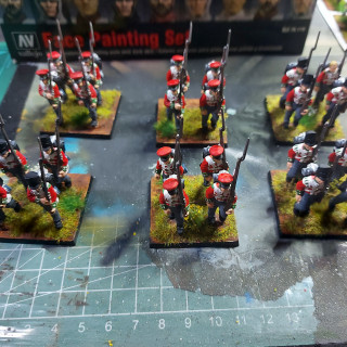 Hanoverian reinforced Line Battalion