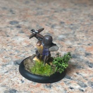 Warploque Halfling Warband