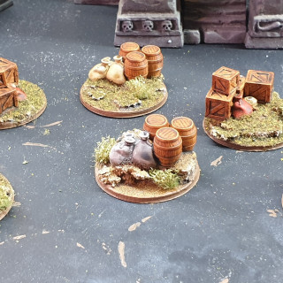 Printed and Finished 6 Objective Markers