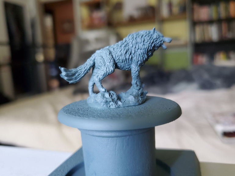 As is typical for most of my paintjobs; I started with a spray prime of GW's Mechanicus Standard Grey. Seemed to make sense for a direwolf called Grey Wind...