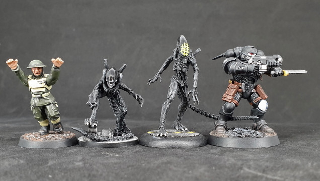 Week 20 - Spawns and Xenomorphs