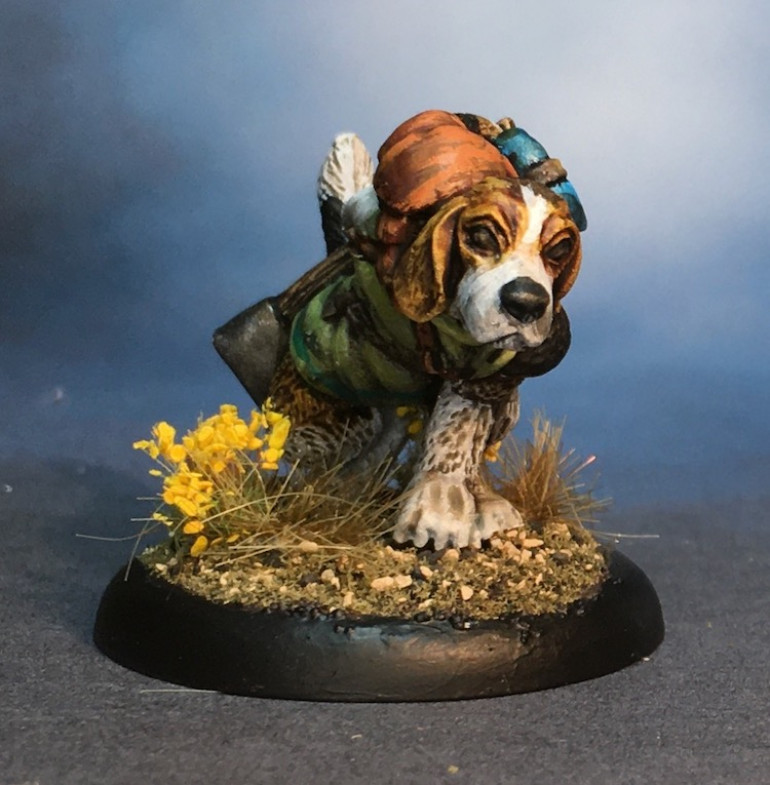 Beagle Tracker