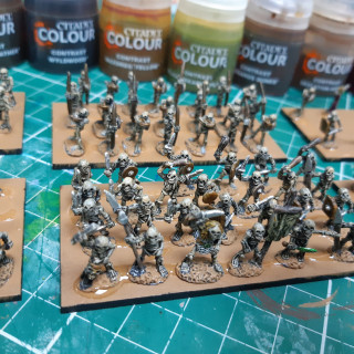 skelly's ready for basing