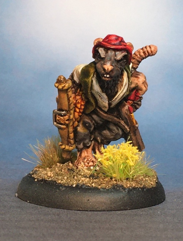 A Rat Buccaneer has Landed