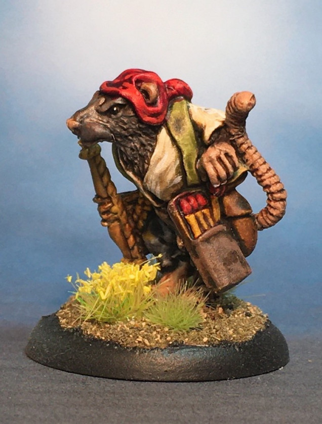 A Rat Buccaneer has Landed