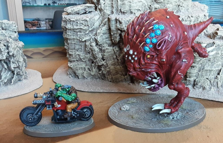 Beware the attack of the giant squig