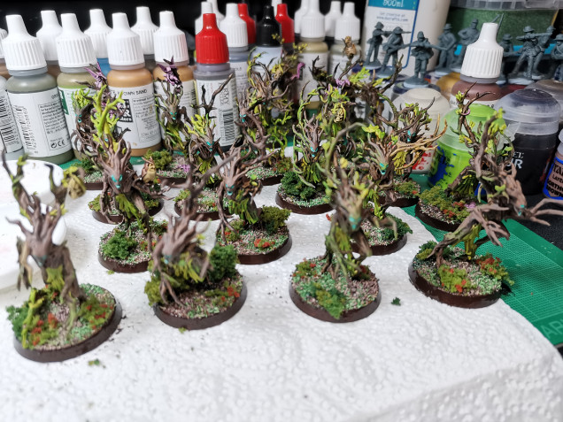 Taaking a break from painting confederates I started my second Sylvaneth Starter box.