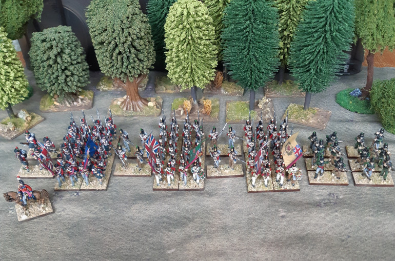 Battalions of the 42nd, 24th and 61st regiments, plus some supporting riflemen from the 95th.