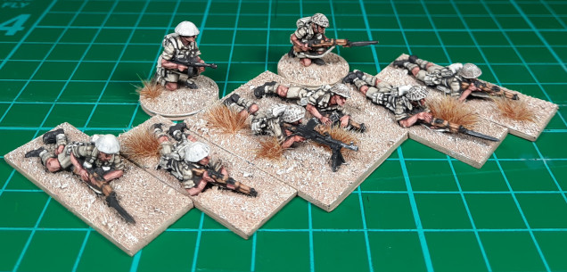 More Desert Rats...